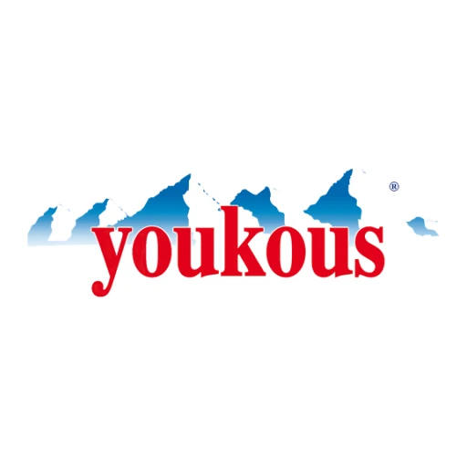 Youkous
